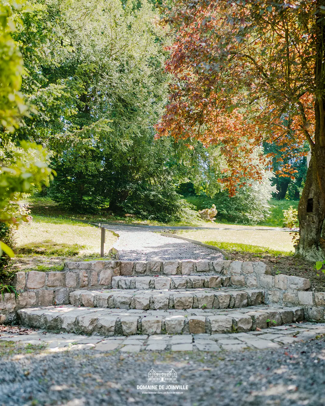 Allée du parc du Domaine de Joinville