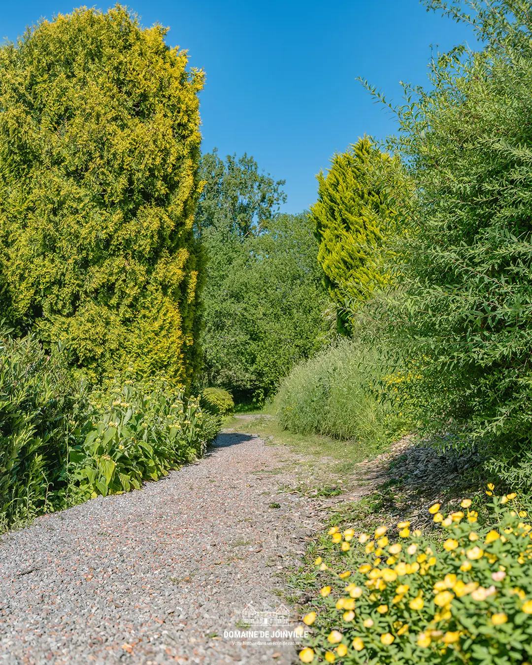Sentier gravillonné dans le parc du Domaine de Joinville