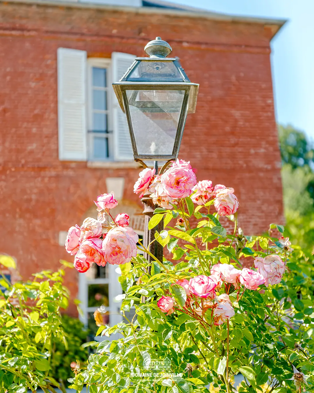 Roses et lampadaire dans le parc du Domaine de Joinville